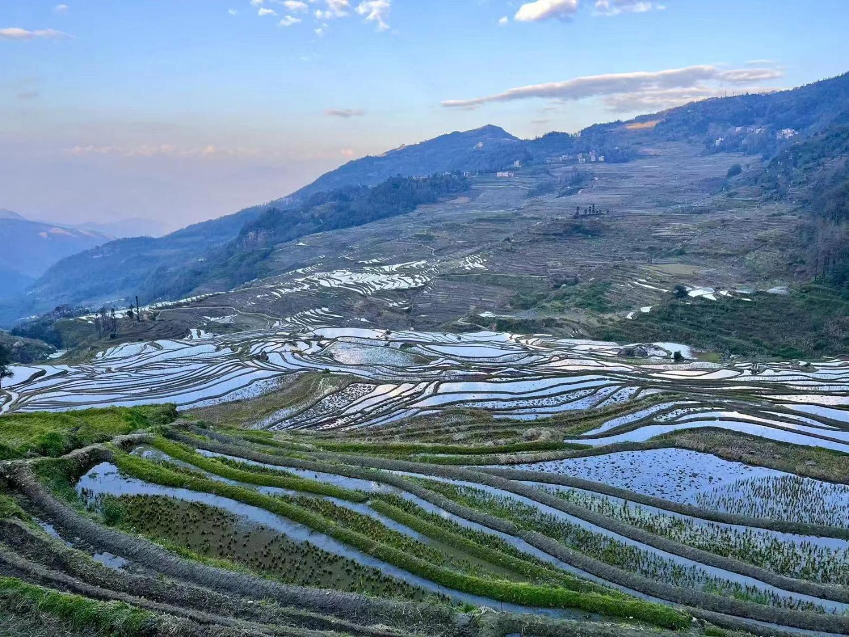 Yuanyang Flower&Horse Inn Bagian luar foto